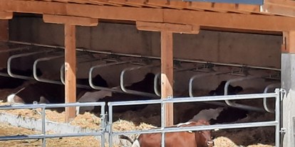 Urlaub auf dem Bauernhof - ideal für: Ruhesuchende - PLZ 6233 (Österreich) - Unsere Kühe genießen den außen Lege Bereich.  - Lahnhof