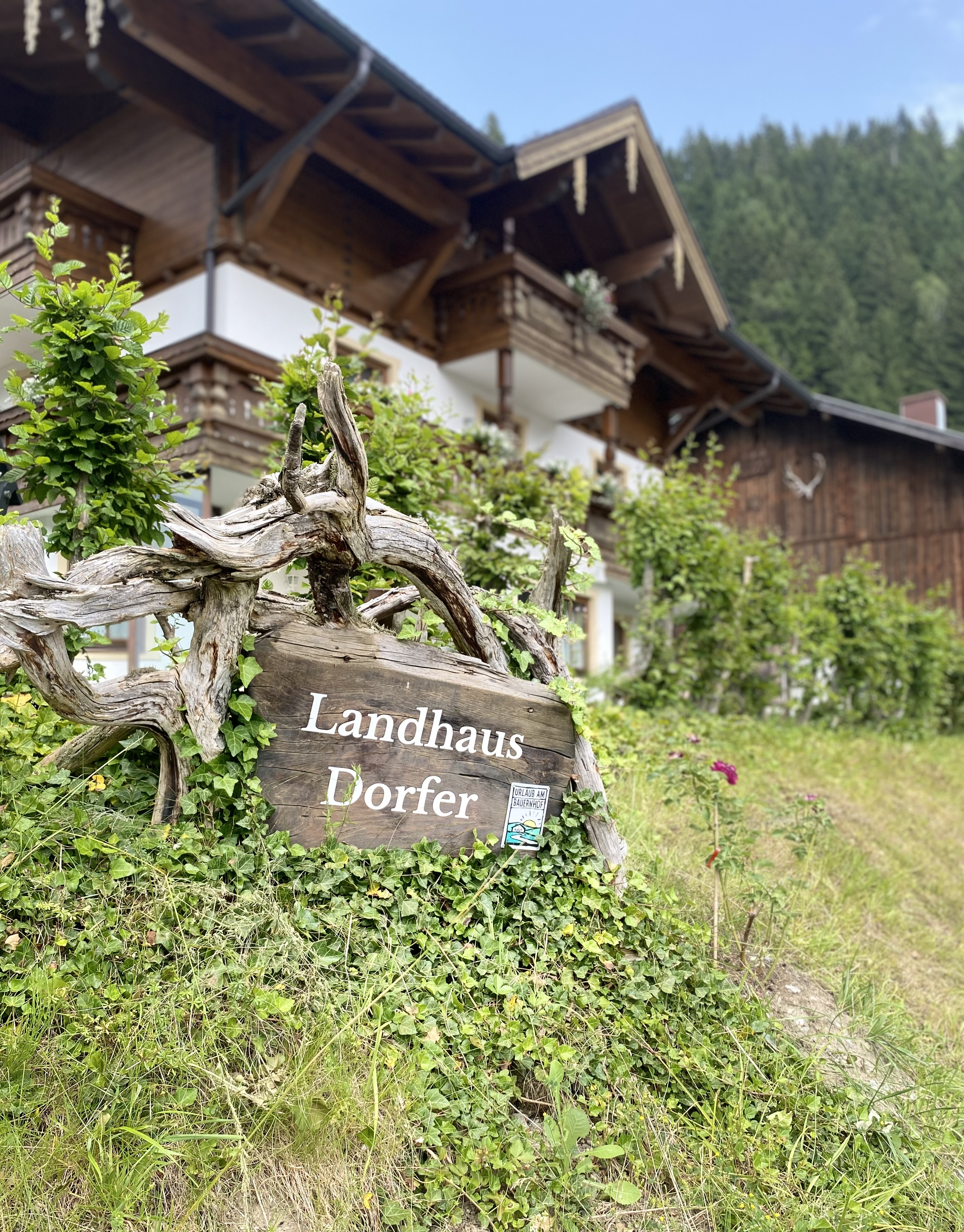 Ferien Bauernhof - Landhaus Dorfer - Obergollegg