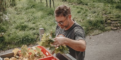 vacation on the farm - Jahreszeit: Frühlings-Urlaub - Germany - Unser Chef, der Jan, bei der Arbeit..... - Bio-Weingut Staffelter Hof