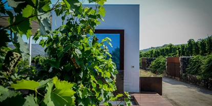 vacances à la ferme - Art der Landwirtschaft: Weinbau - Tenuta di Castellaro Winery & Resort