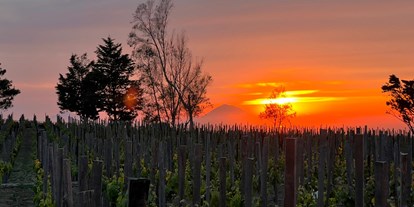 Urlaub auf dem Bauernhof - nachhaltige Landwirtschaft - Italien - Tenuta di Castellaro Winery & Resort