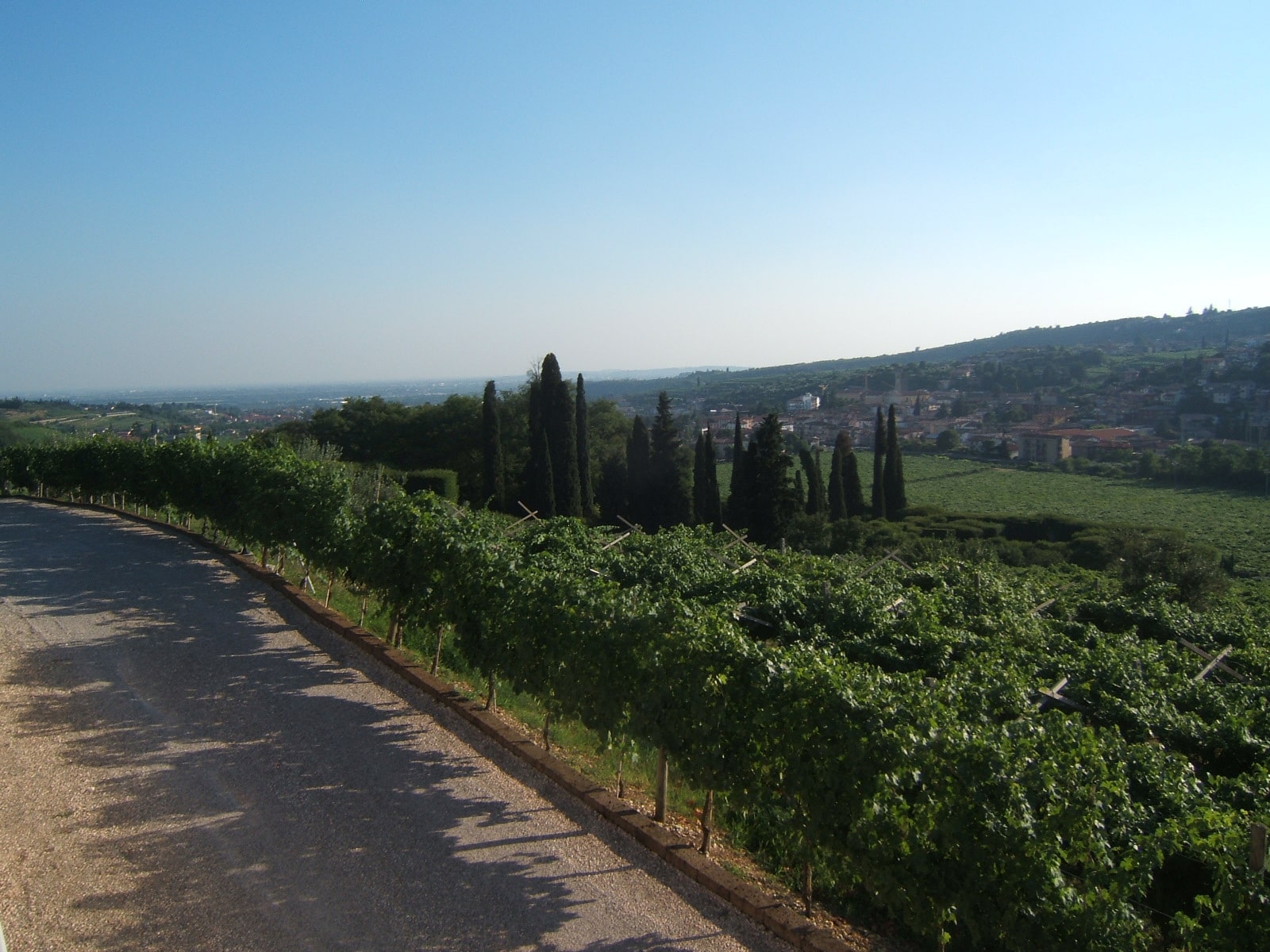 Ferme de vacances - Fratelli Vogadori