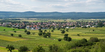 Urlaub auf dem Bauernhof - ideal für: Senioren - Jois - Unsere Heimatgemeinde Oslip - Remushof Jagschitz