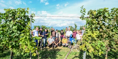 vacances à la ferme - Art der Landwirtschaft: Ackerbau - Weinlese am Remushof - Remushof Jagschitz