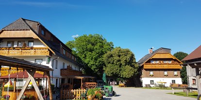 vacation on the farm - Trampolin - Klamm (Rottenmann) - Pürcherhof im Sommer - Pürcherhof