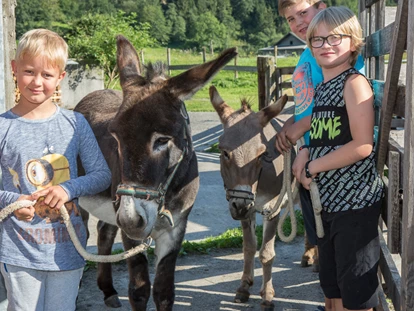 Urlaub auf dem Bauernhof - Mithilfe beim: Tiere füttern - Bsuch - Biobauernhof Reiterhof