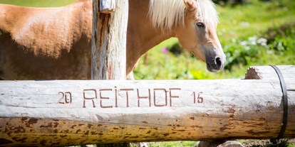 vacation on the farm - Tiere am Hof: Hunde - Pferde - Apartpension Almhof - Reithof Pitztal