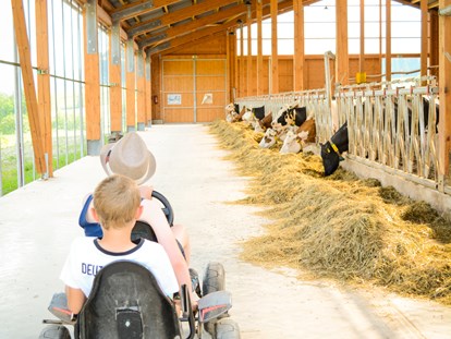 vacation on the farm - Tiere am Hof: Ponys - North Rhine-Westphalia - Hof Keppel
