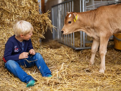 Urlaub auf dem Bauernhof - Tiere am Hof: Kühe - Deutschland - Hof Keppel