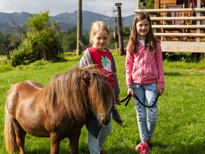 Urlaub auf dem Bauernhof - Tiere am Hof: Ponys - Deutschland - Hof Keppel