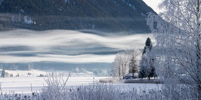 Urlaub auf dem Bauernhof - Jahreszeit: Winter-Urlaub - Ferienhof Obergasser & Pension Bergblick