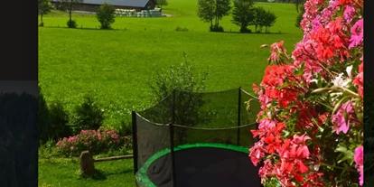 počitnice na kmetiji - Tiere am Hof: Ponys - Unterberg (Großarl, Dorfgastein) - Gartrnblick - Alpen Appartements Oberlehengut HIDEAWAY