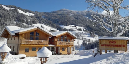 Urlaub auf dem Bauernhof - Traktor fahren - Steinbach (Bruck an der Großglocknerstraße) - Außenansicht Öko-Appartements Winter - Öko-Appartements Biobauernhof "Fallhaus"