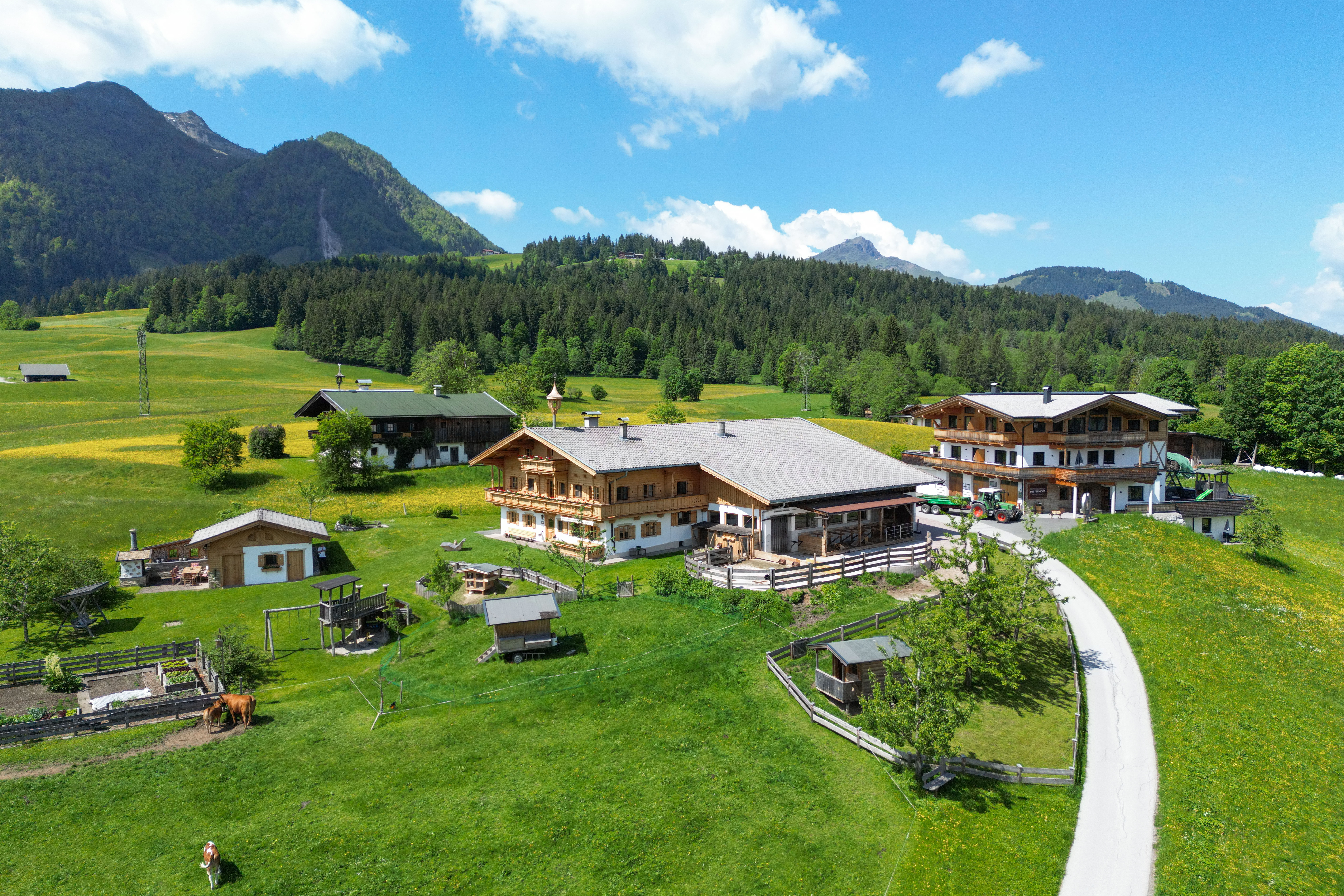 Ferien Bauernhof - Biobauernhof Mittermoos - Biobauernhof Mittermoos