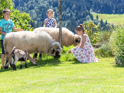 Urlaub auf dem Bauernhof - Jahreszeit: Frühlings-Urlaub - Obsmarkt - Unsere Schwarznasenschafe Wasti und Heidi mit Zwergziege Rose - Biobauernhof Mittermoos