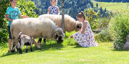 Urlaub auf dem Bauernhof - Saalfelden am Steinernen Meer - Unsere Schwarznasenschafe Wasti und Heidi mit Zwergziege Rose - Biobauernhof Mittermoos