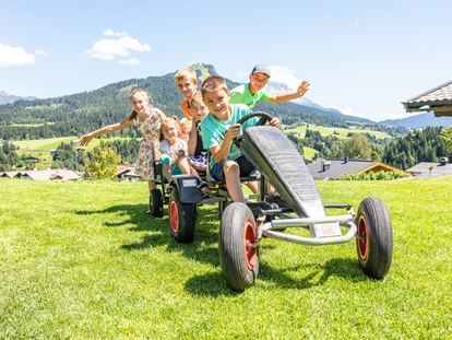 Urlaub auf dem Bauernhof - ruhige Lage - Steinbach (Bruck an der Großglocknerstraße) - Spielspaß mit unserem Go-Cart. - Biobauernhof Mittermoos