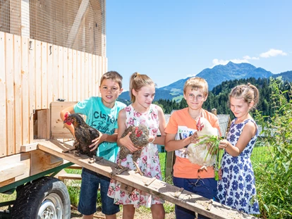 vacation on the farm - ideal für: Familien - Griesbachwinkl - Tiernähe für jung und alt. - Biobauernhof Mittermoos