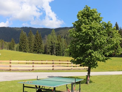 vacation on the farm - Lagerfeuerstelle - Embach (Lend) - Mittersteghof
