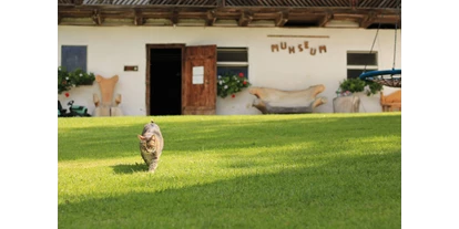 Urlaub auf dem Bauernhof - Jahreszeit: Frühlings-Urlaub - Trattenbach - Kuhstall "Muhseum" - Bauernhof Hönigshof - Familie Kerschenbauer