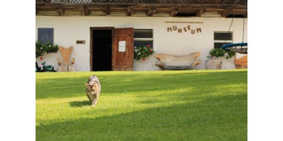Urlaub auf dem Bauernhof - Tiere am Hof: Schweine - Österreich - Kuhstall "Muhseum" - Bauernhof Hönigshof - Familie Kerschenbauer