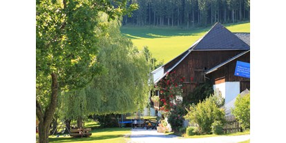 Urlaub auf dem Bauernhof - ideal für: Senioren - Oststeiermark - Hofbereich - Bauernhof Hönigshof - Familie Kerschenbauer