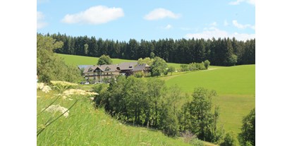 vacanza in fattoria - Fahrzeuge: Heuwender - Würflach - Bauernhof Hönigshof - Bauernhof Hönigshof - Familie Kerschenbauer