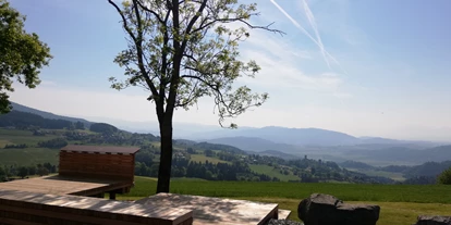 Urlaub auf dem Bauernhof - Umgebung: Urlaub in den Hügeln - Kleinedling (St. Andrä, Wolfsberg) - ERLEBNISBAUERNHOF Steinerhof in Kärnten
