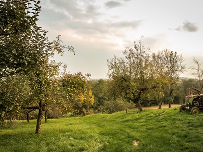 Urlaub auf dem Bauernhof - ideal für: Ruhesuchende - Gossendorf - Streuobstwiesen - Biohofgut Laschalt