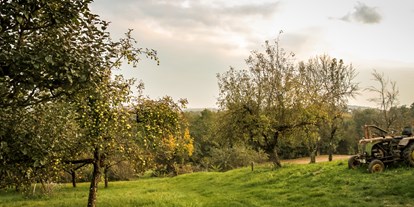 Urlaub auf dem Bauernhof - Jahreszeit: Frühlings-Urlaub - Kapfenstein - Streuobstwiesen - Biohofgut Laschalt