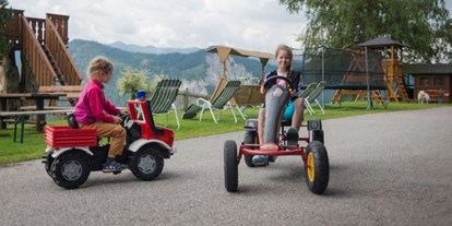 Urlaub auf dem Bauernhof - Kutschen fahren - Steiermark - Austoben am Kinderspielplatz - Bergbauernhof Irxner - Urlaub am Bauernhof mit Hund