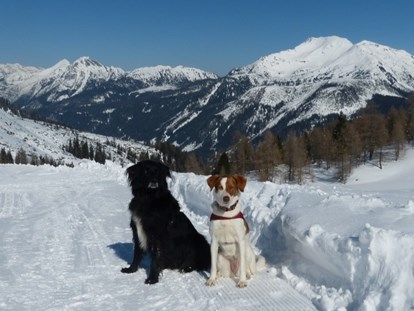 Urlaub auf dem Bauernhof - Jahreszeit: Winter-Urlaub - Neuseß - Traumurlaub mit Hunden - Bergbauernhof Irxner - Urlaub am Bauernhof mit Hund