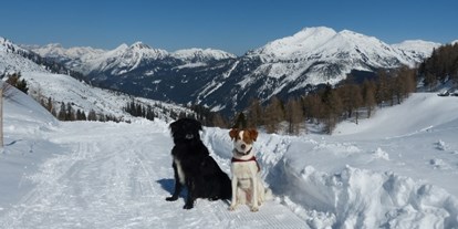 Urlaub auf dem Bauernhof - Langlaufen - PLZ 5630 (Österreich) - Traumurlaub mit Hunden - Bergbauernhof Irxner - Urlaub am Bauernhof mit Hund
