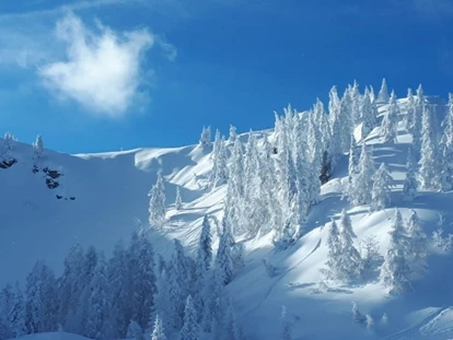 počitnice na kmetiji - Skitouren - Unterberg (Großarl, Dorfgastein) - Mit traumhaften Winter-Panorama - Bergbauernhof Irxner - Urlaub am Bauernhof mit Hund