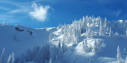 Urlaub auf dem Bauernhof - Gosau - Mit traumhaften Winter-Panorama - Bergbauernhof Irxner - Urlaub am Bauernhof mit Hund