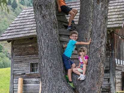 Urlaub auf dem Bauernhof - Art der Unterkunft: Ferienwohnung - Südtirol - Pichlerhof