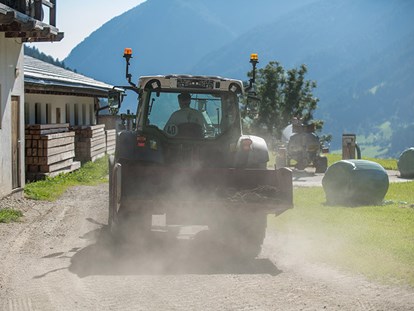 Urlaub auf dem Bauernhof - Mithilfe beim: Tiere füttern - Südtirol - Pichlerhof