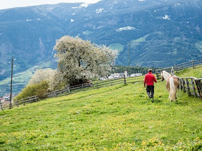 Urlaub auf dem Bauernhof - Radwege - Mühlbach Vals - Hatzeshof