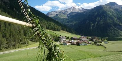 vacanza in fattoria - Skifahren - Südtirol - Die Wiesen rund um unseren Hof werden zwei mal gemäht. - Oberhof