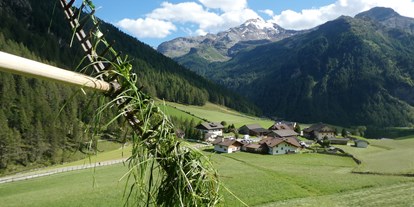 Urlaub auf dem Bauernhof - Umgebung: Urlaub in den Feldern - Trentino-Südtirol - Die Wiesen rund um unseren Hof werden zwei mal gemäht. - Oberhof