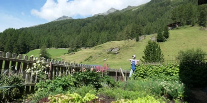 vacation on the farm - Streichelzoo - Mühlwald (Trentino-Südtirol) - In unserem Bauerngarten wachsen Kräuter, Gemüse und Beeren - Oberhof