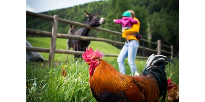 vacation on the farm - Streichelzoo - Mühlwald (Trentino-Südtirol) - Obereggerhof