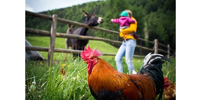 Urlaub auf dem Bauernhof - Art der Landwirtschaft: Bergbauernhof - Trentino-Südtirol - Obereggerhof