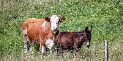 vacation on the farm - Art der Landwirtschaft: Tierhaltung - Oberbozen - Tiere am Hof - Wieserhof