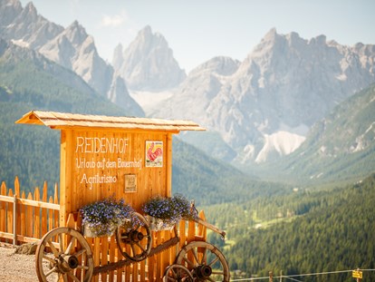 Urlaub auf dem Bauernhof - Mithilfe beim: Tiere füttern - Südtirol - Reidenhof