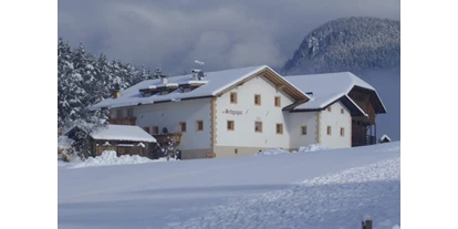 vacanza in fattoria - Brötchenservice - Sarntal - Hof im Winter - Schgagulerhof