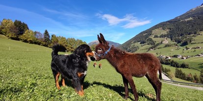 Urlaub auf dem Bauernhof - Tiere am Hof: andere Tierarten - Südtirol - Mittnackerhof