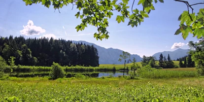 Urlaub auf dem Bauernhof - ideal für: Mitarbeit - Steuer - Naturschutzgebiet "Egelsee - Ferienhof Margarethengut am Attersee 