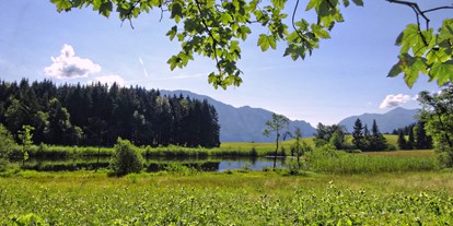Urlaub auf dem Bauernhof - Tagesausflug möglich - Oberösterreich - Naturschutzgebiet "Egelsee - Ferienhof Margarethengut am Attersee 