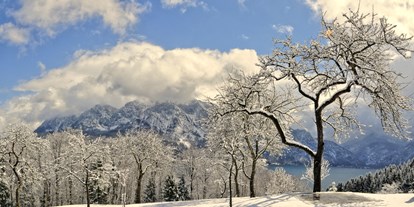 vacanza in fattoria - Mithilfe beim: Melken - Buchen (Pinsdorf) - Winter  am Ferienhof  - Ferienhof Margarethengut am Attersee 